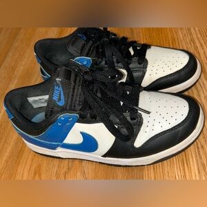Nike Dunks Youth